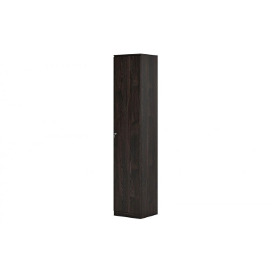 Гардероб узкий 450х420х2200 FRANKLIN DM